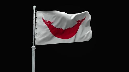 flag 37