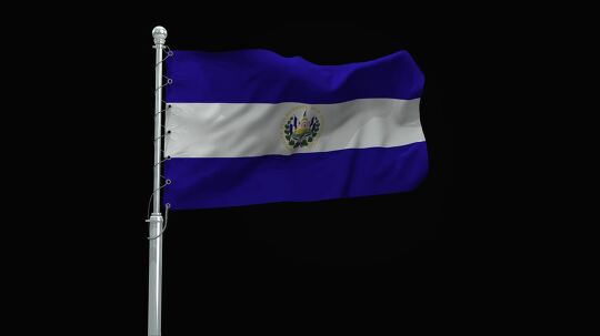 flag 38