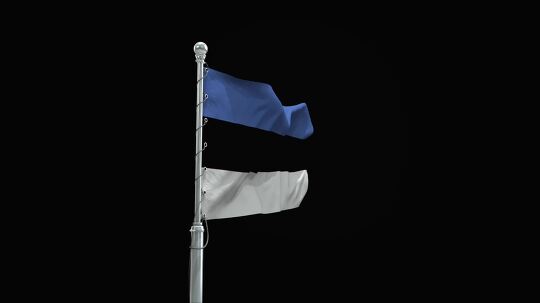 flag 38