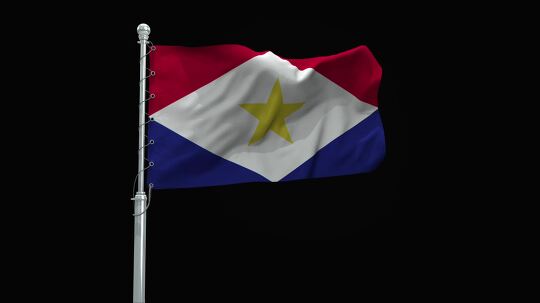 flag 80