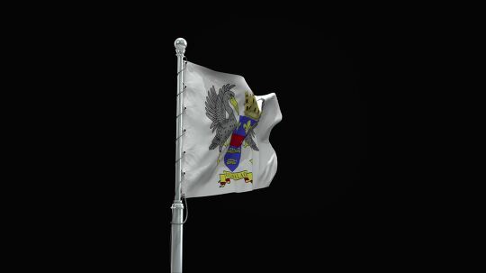 flag 80