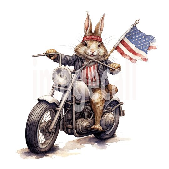 4th July Rabbits (1)