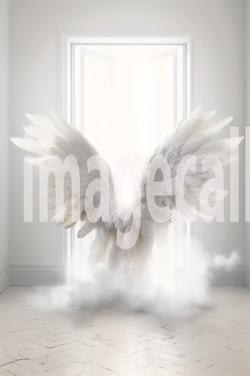 A082 White Angel Wings (11)