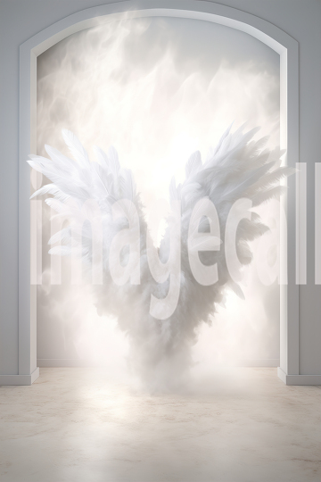 A082 White Angel Wings (18)