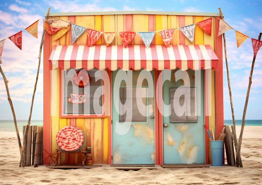 A116 Beach Shack (15)