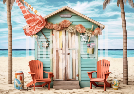 A116 Beach Shack (20)