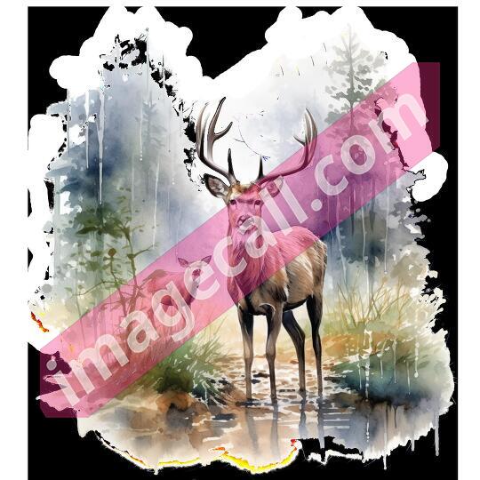 Animal Encounter 22 (14)