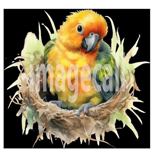 Baby Parrots (13)300dpi