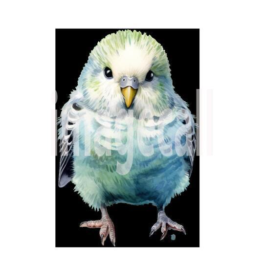 Baby Parrots (2)300dpi