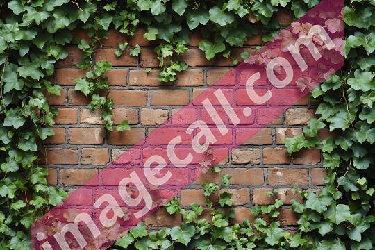 brickwall6 (13)