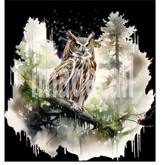 Clipart Forest Animal Encounter 1 - 300dpi