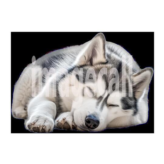 Clipart Huskey 6 - 300dpi