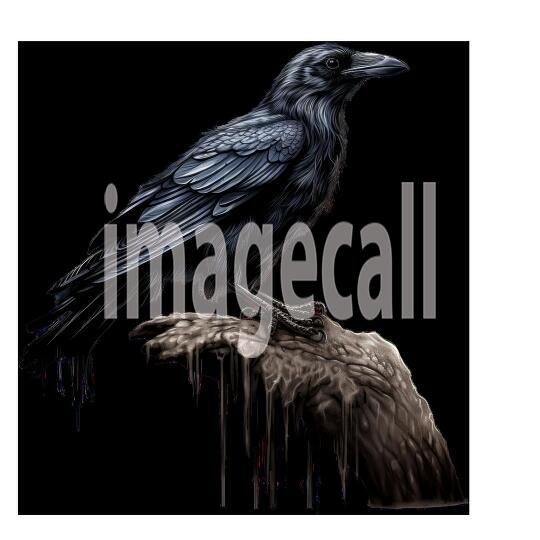 Clipart Raven (12)300dpi