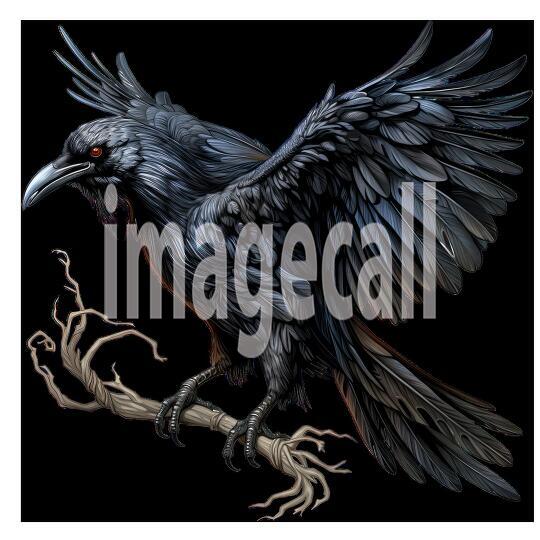 Clipart Raven (18)300dpi