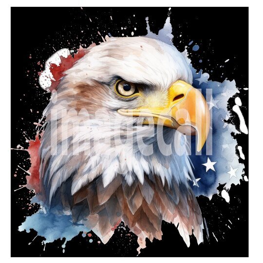 clipart watercolor 4th july (17)300dpi