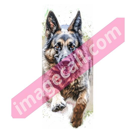 German shepherd (13)