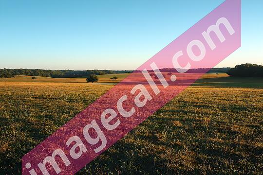 OpenFields2 (22)
