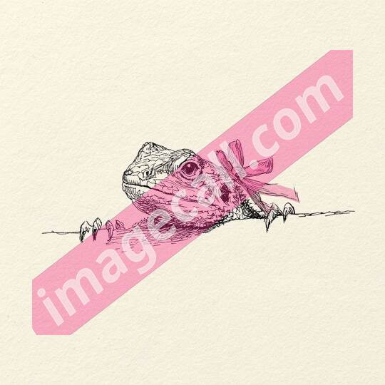 peeking animal8 (253)