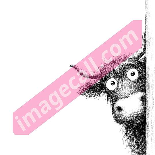 peeking animal8 (278)