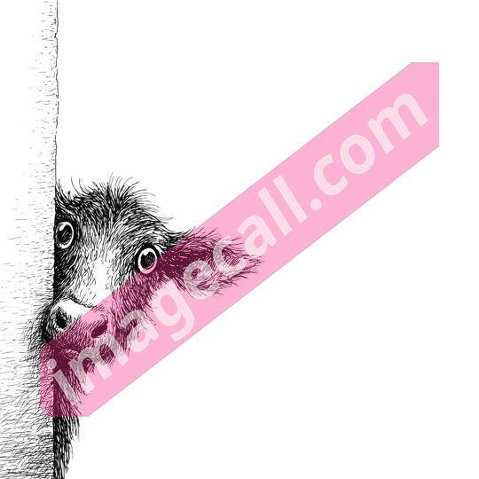 peeking animal8 (279)