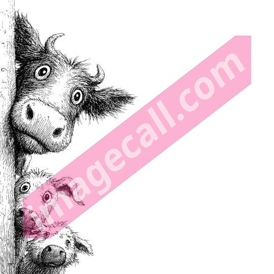 peeking animal8 (284)