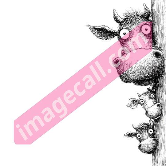 peeking animal8 (293)