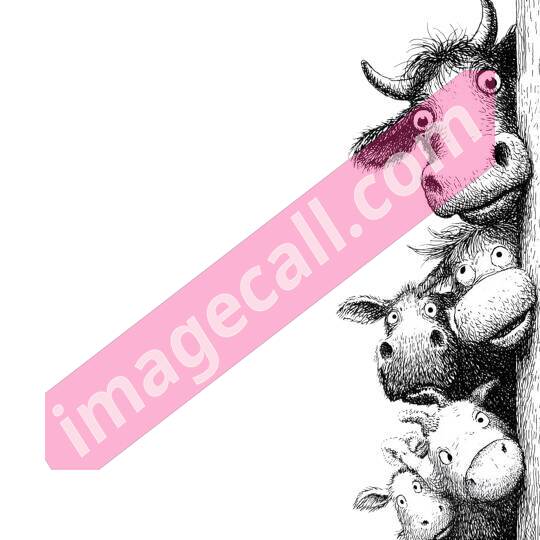 peeking animal8 (301)