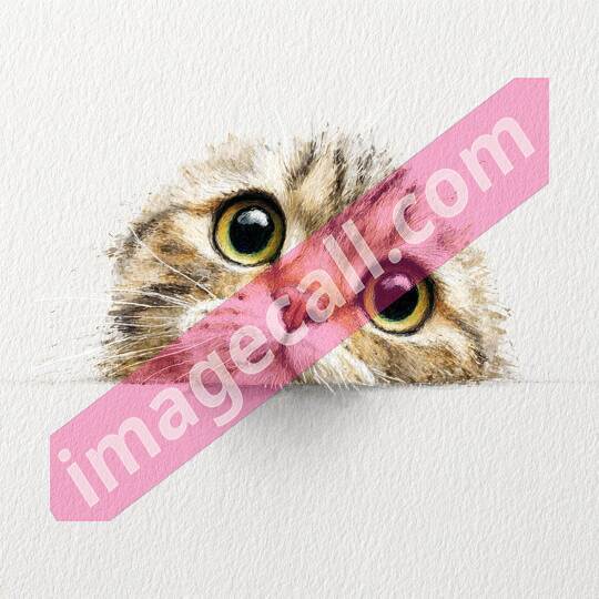 peeking animal8 (365)