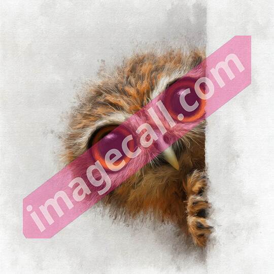 peeking animal8 (398)