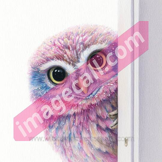 peeking animal8 (418)