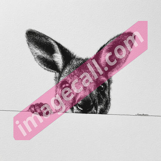 peeking animals2 (11)