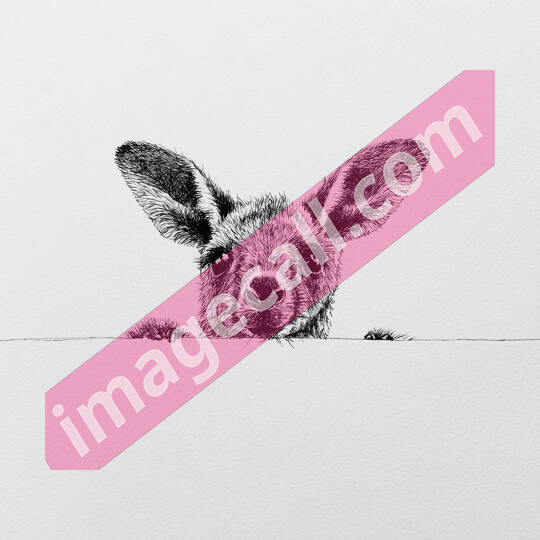 peeking animals2 (12)