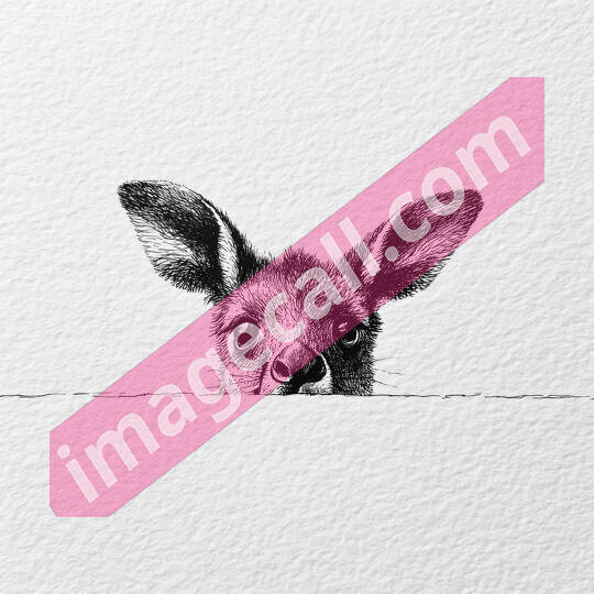 peeking animals2 (14)