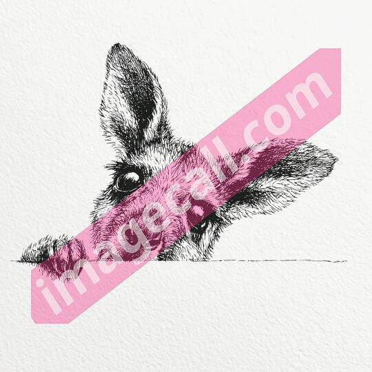 peeking animals2 (2)