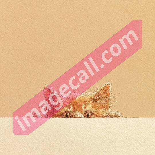 peeking animals2 (220)