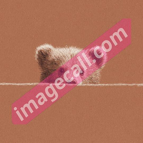 peeking animals2 (226)