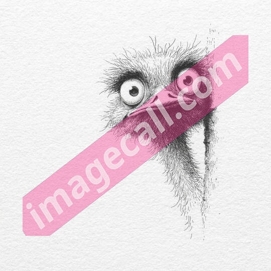 peeking animals2 (34)