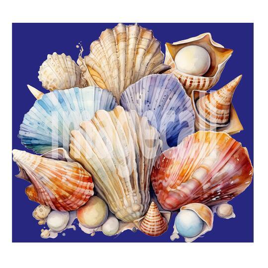 Sea Shells (6)