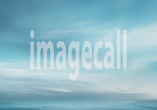 ST0019 - Old Master Backdrops (27)