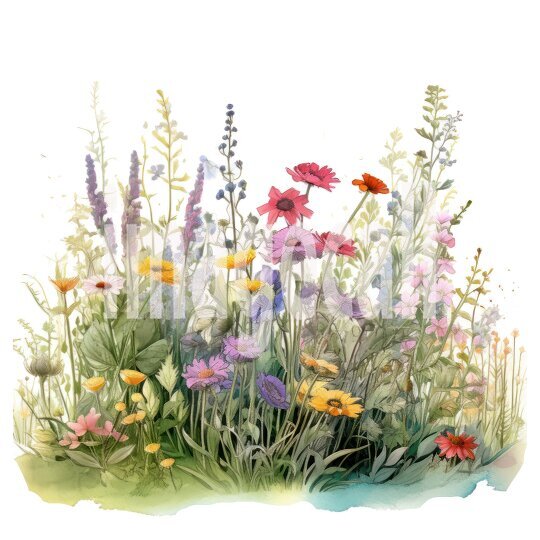 Wildflowers (8)300dpi