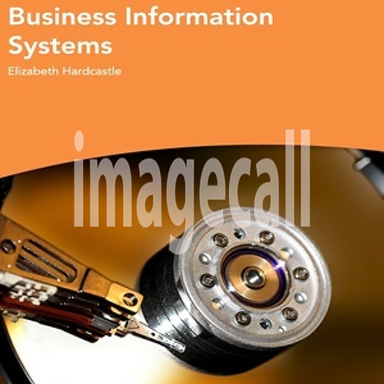 Business Information Systems